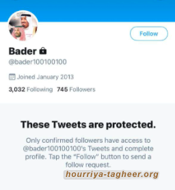 تحقيق يكشف حساب بن سلمان “الوهمي” على شبكة تويتر