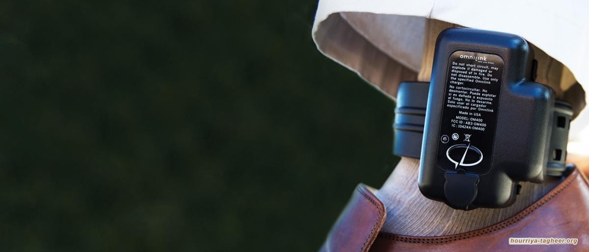 أكاديمي سعودي: أمير كاد أن يهرب على طريقة كارلوس غصن