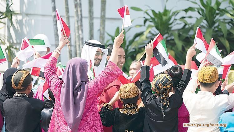 محمد بن زايد يزيح السعودية عن إندونيسيا