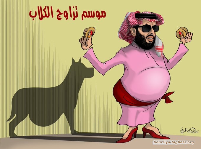 نادي الزمالك يزيل صور رئيس هيئة الكلاب السعودية