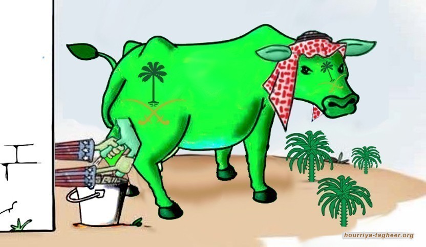 ابن سلمان يجند مقدرات السعودية لخدمة فوز ترامب