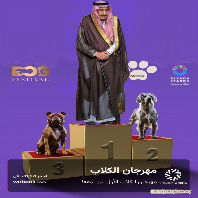 مهرجان سلمان للكلاب يثير موجة غضب واسعة
