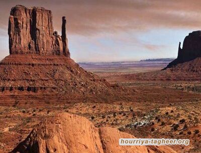 ابن سلمان: دفع مليون ريال لإيقاف حساب “مجتهد” على تويتر
