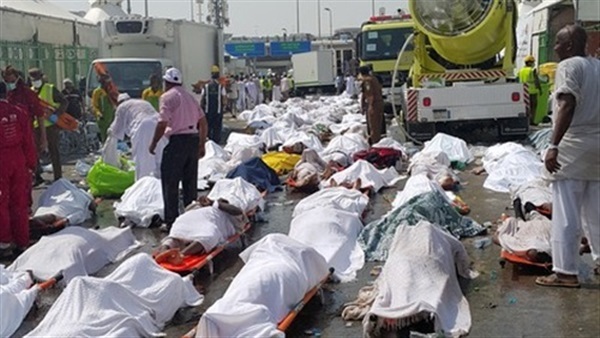 المصريون لا يثقون بإدارة الحج السعودية