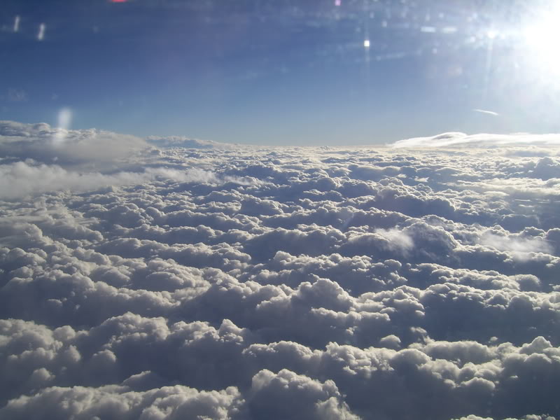 رحمات السماء وفرعنة آل سعود