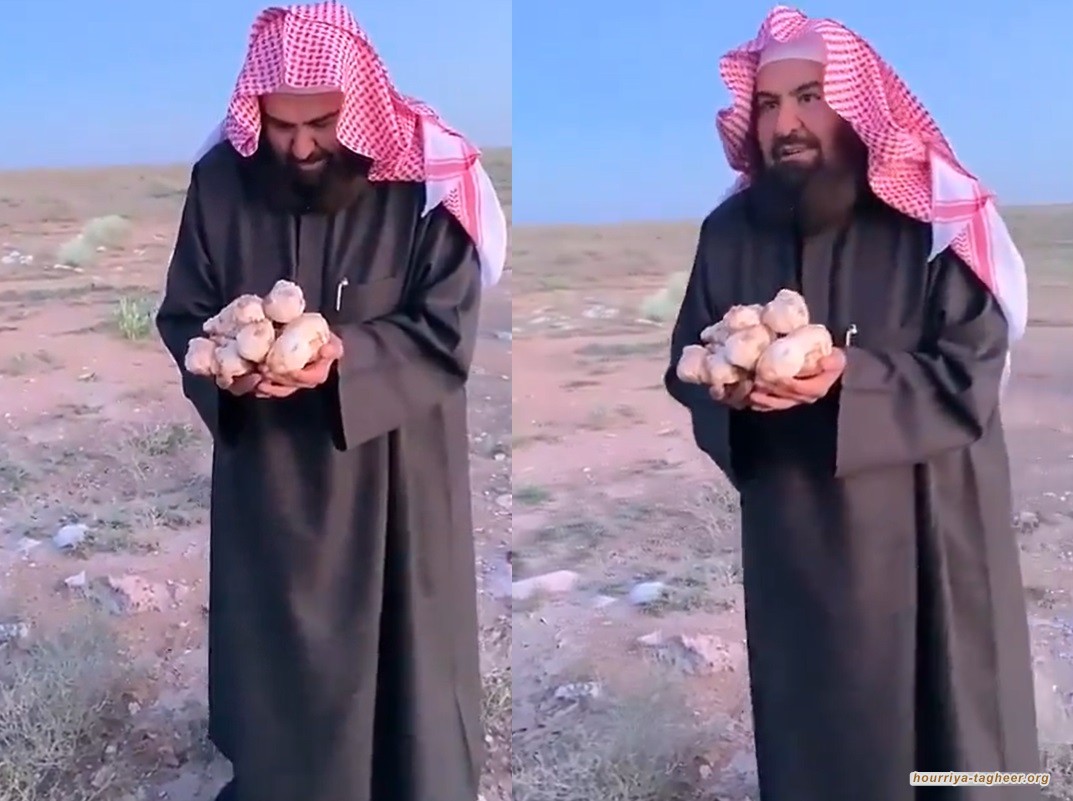 مهرج الحرمين في مرمى نيران الانتقادات