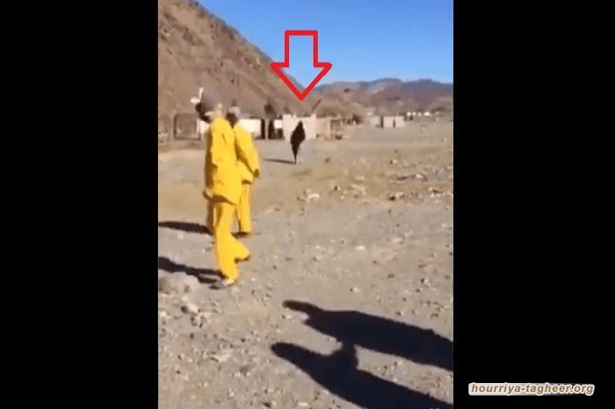 بكرة يقتلها ابن سلمان ويقول ارهابية.. مسنة سعودية من قبيلة الحويطات تهاجم رجال الأمن بعدما حاولوا هدم منزلها