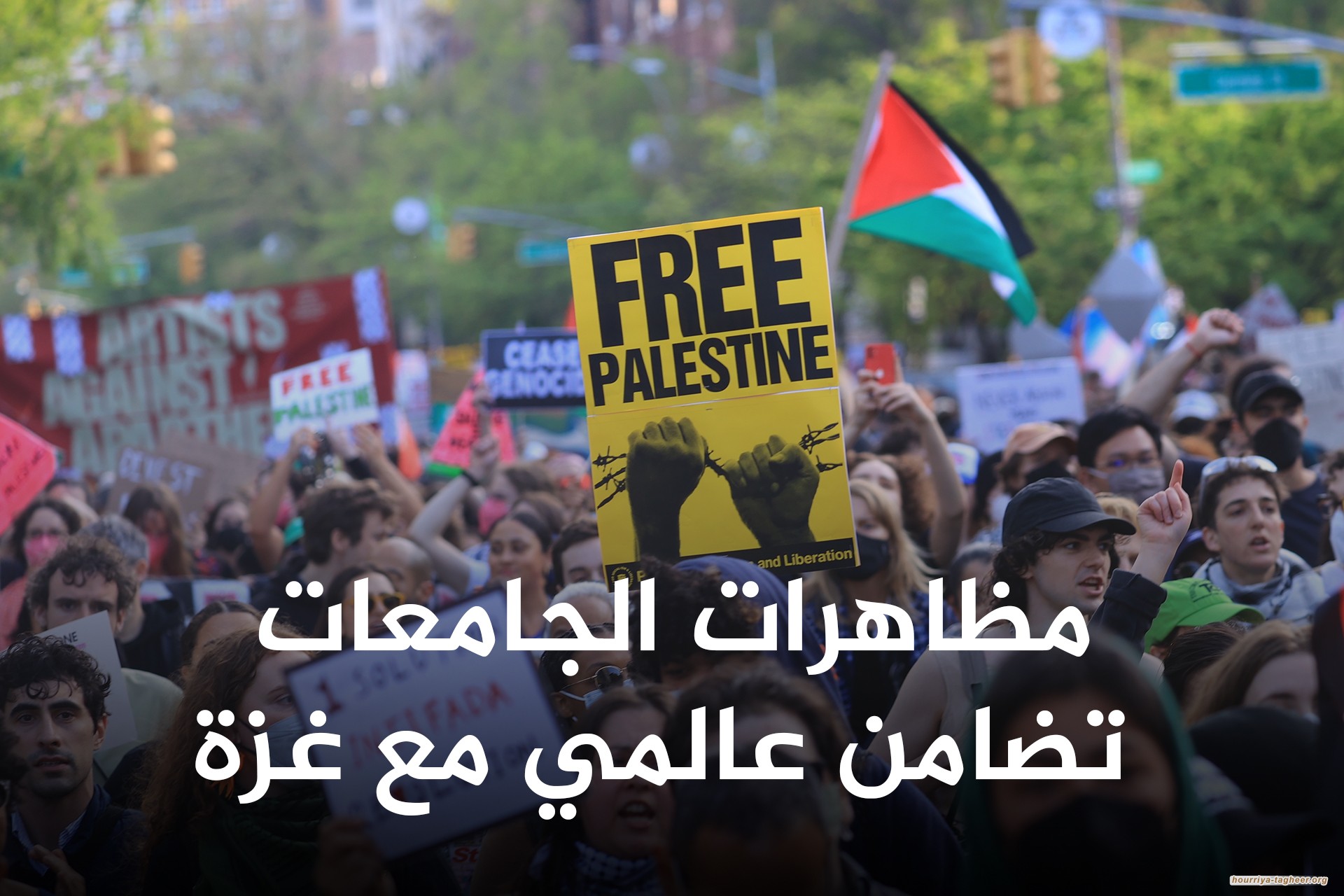 الأحرار ينتفضون لغزة والعبيد منشغلون بالإنحطاط.. هم العدو