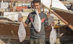 مضيق هرمز والقرصنة يهددون صيادو الخليج