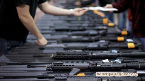 بسبب جرائمها .. ألمانيا تعتزم تمديد حظر السلاح إلى المملكة