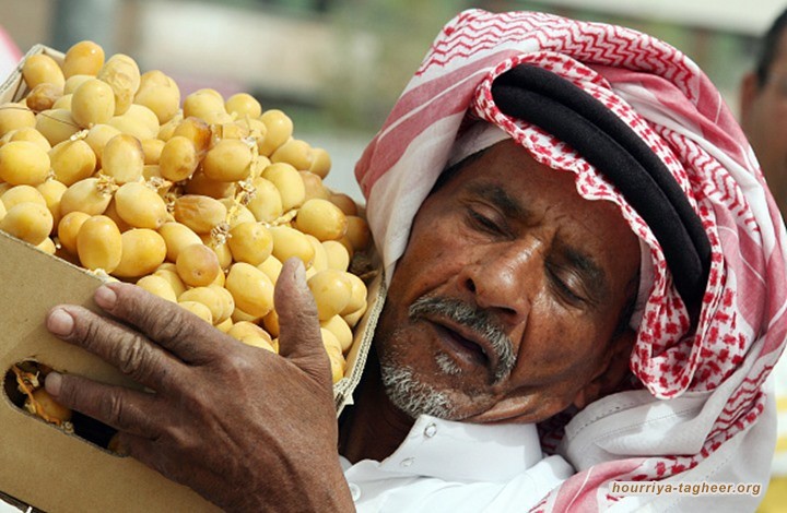 آل سعود يُريدون إصدار ديون دولية.. ولا تستبعد فرض ضريبة الدخل