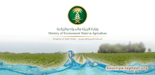 الضرائب تتصاعد... المملكة تفرض رسوما جديدة على المياه