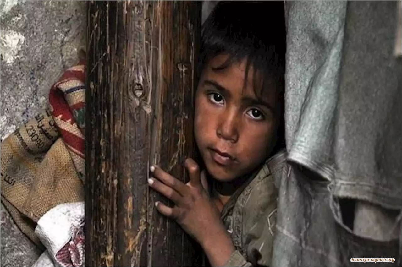 محلل استخباراتي: آن الأوان لإخراج السعودية من المهرة والإمارات من ميون وسقطرى