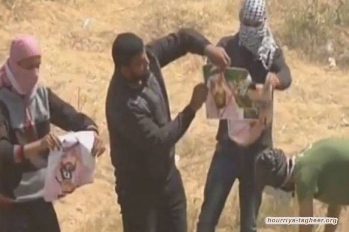 قمة الرياض الخضراء.. الرياض نحو التطبيع والدفع