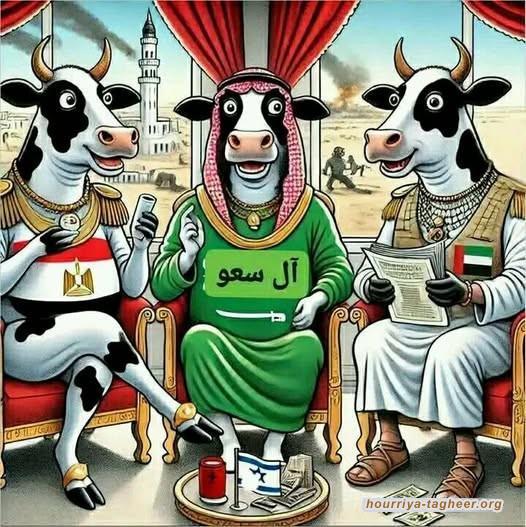 أمريكا تستخدم أبقارها الخليجية في معركتها ضد الصين