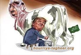 البقرة الحلوب ما زالت تدر على ترامب المليارات