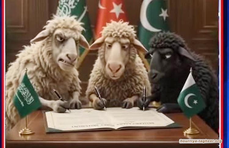حلف مكة: حلف تقوده النعاج أمام ذئاب ضارية