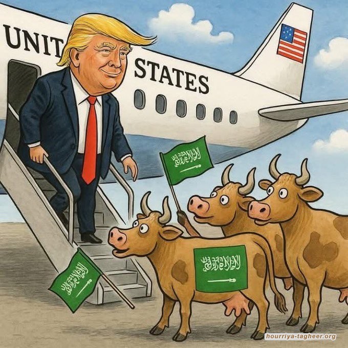 انحدار أبقار الخليج بين واشنطن وتل أبيب