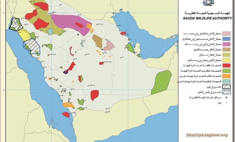 محمد بن سلمان يستولي على قرابة سدس أراضي السعودية