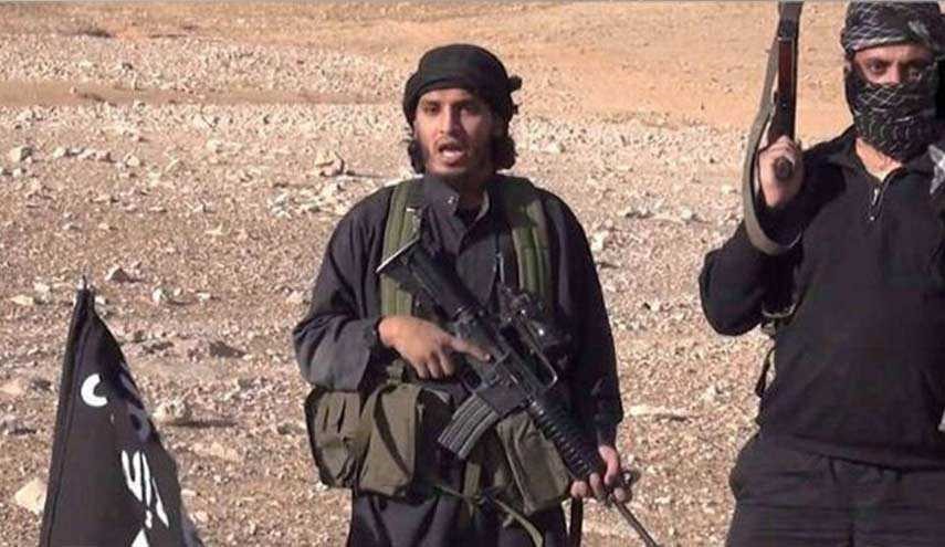 الداخلية السعودية تكشف عن عدد السعوديين مع التنظيمات الإرهابية 