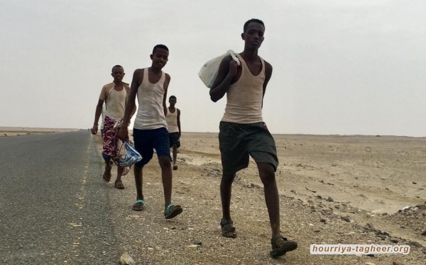 إصابة مهاجرَيْن أفارقة بنيران الجيش السعودي على صعدة