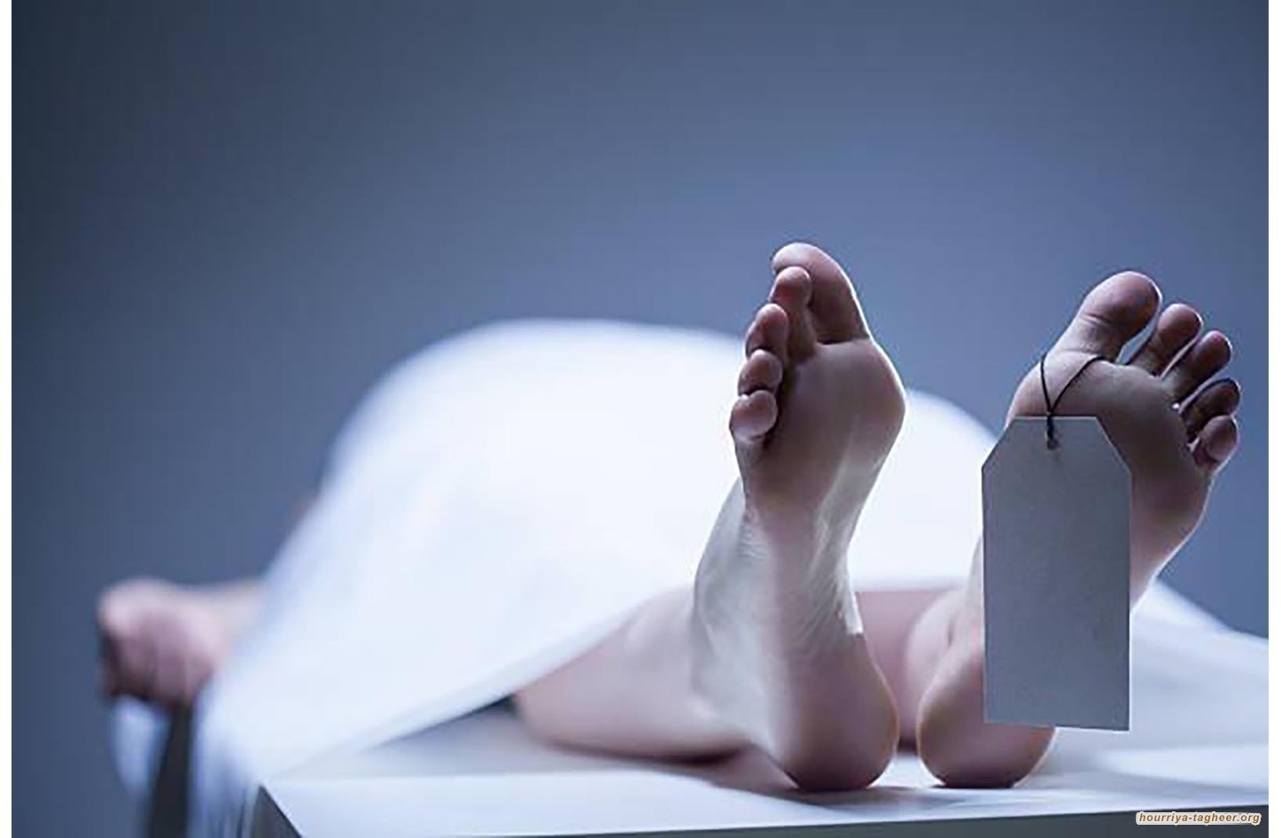 الأمن السعودي يعثر على جثة مواطنة خليجية في منطقة صحراوية