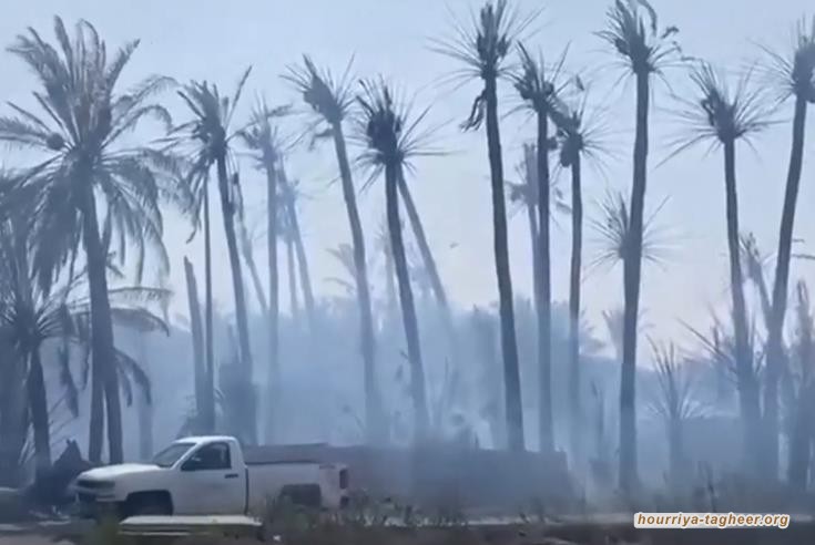 هل دبّر النطام السعودي حريق مزارع غمسي في #الأحساء