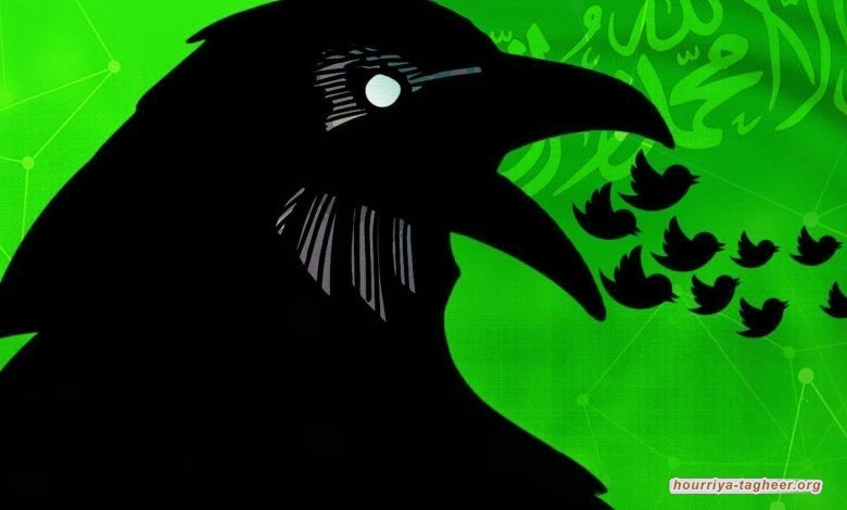 موقع إكس يزيح القناع عن شبكات الذباب والبعوض السعودي