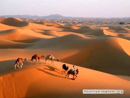 "هوليوود الصحراء".. السعودية تكافح لتحقيق حلمها رغم العوائق الثقافية والسمعة الملطخة